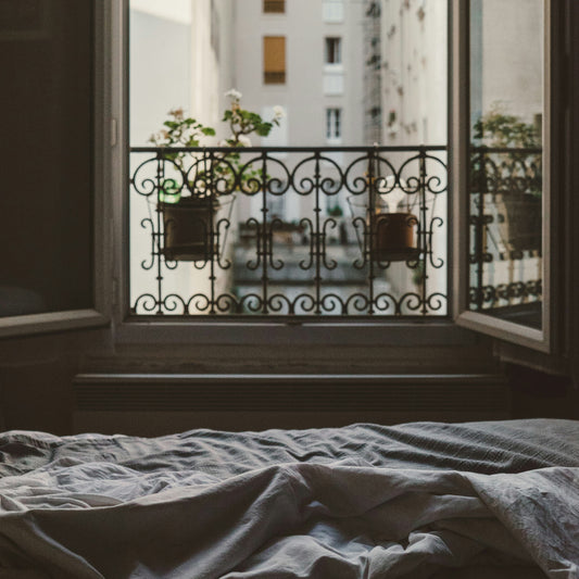 Fenêtre ouverte sur Paris avec une plante en pot le matin