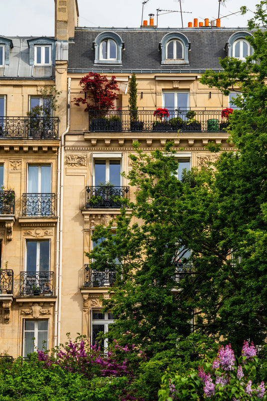 Immeubles aux balcons couverts de verdure