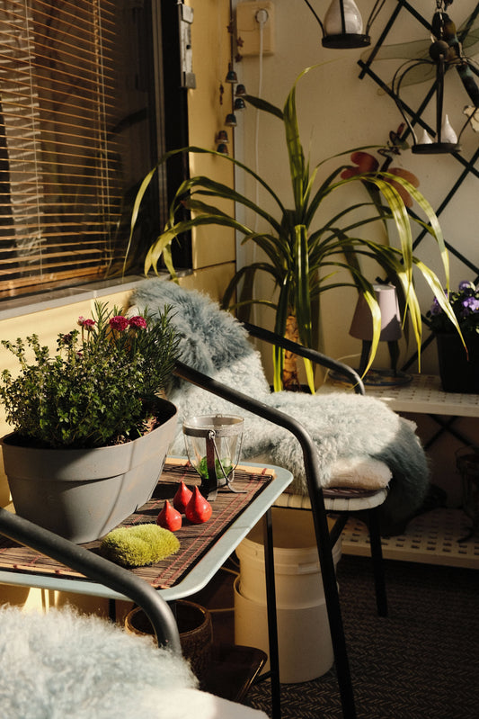 image mobilier balcon extra terrasse