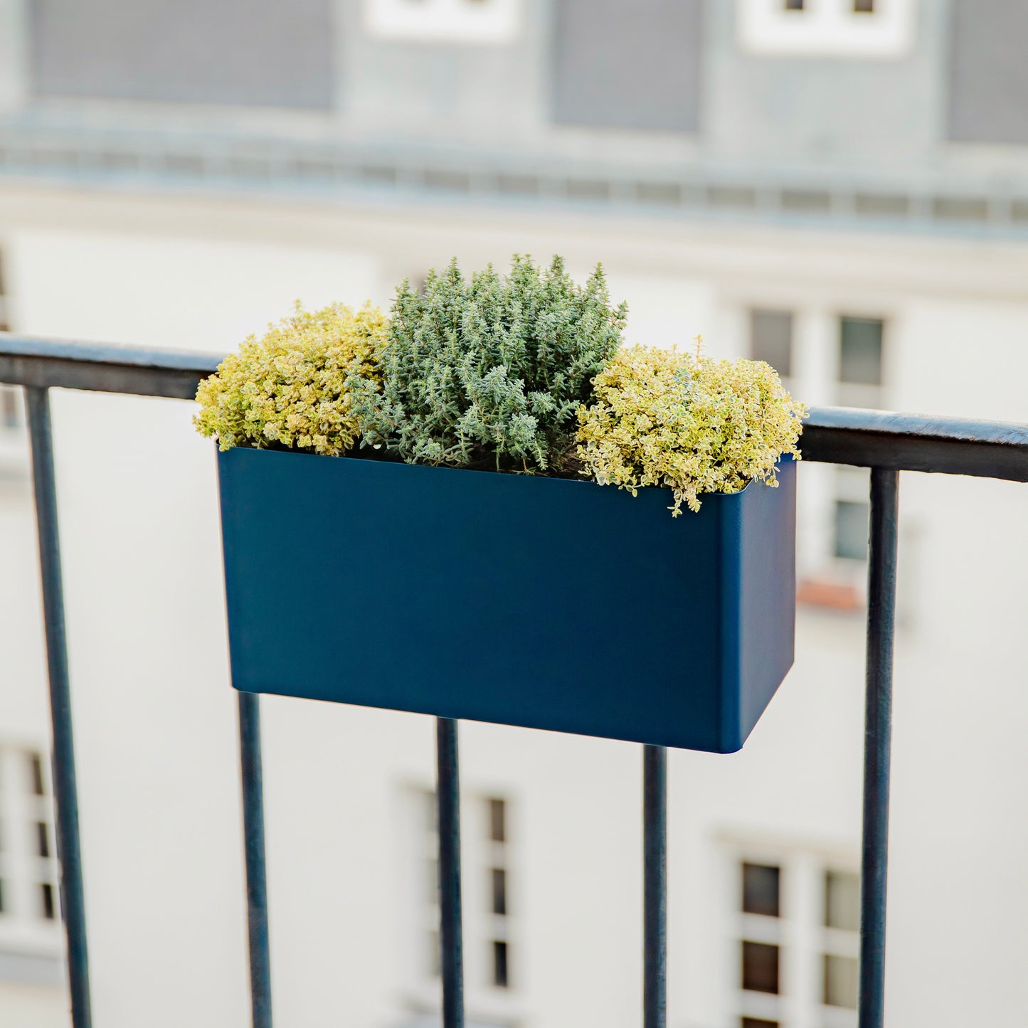 Balcony Planter - Balcony box