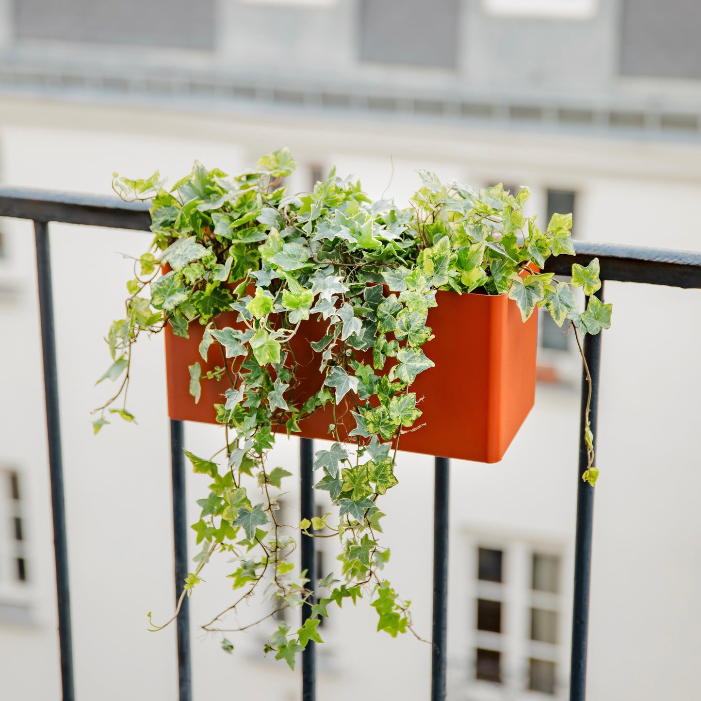 Balcony Planter - Balcony box