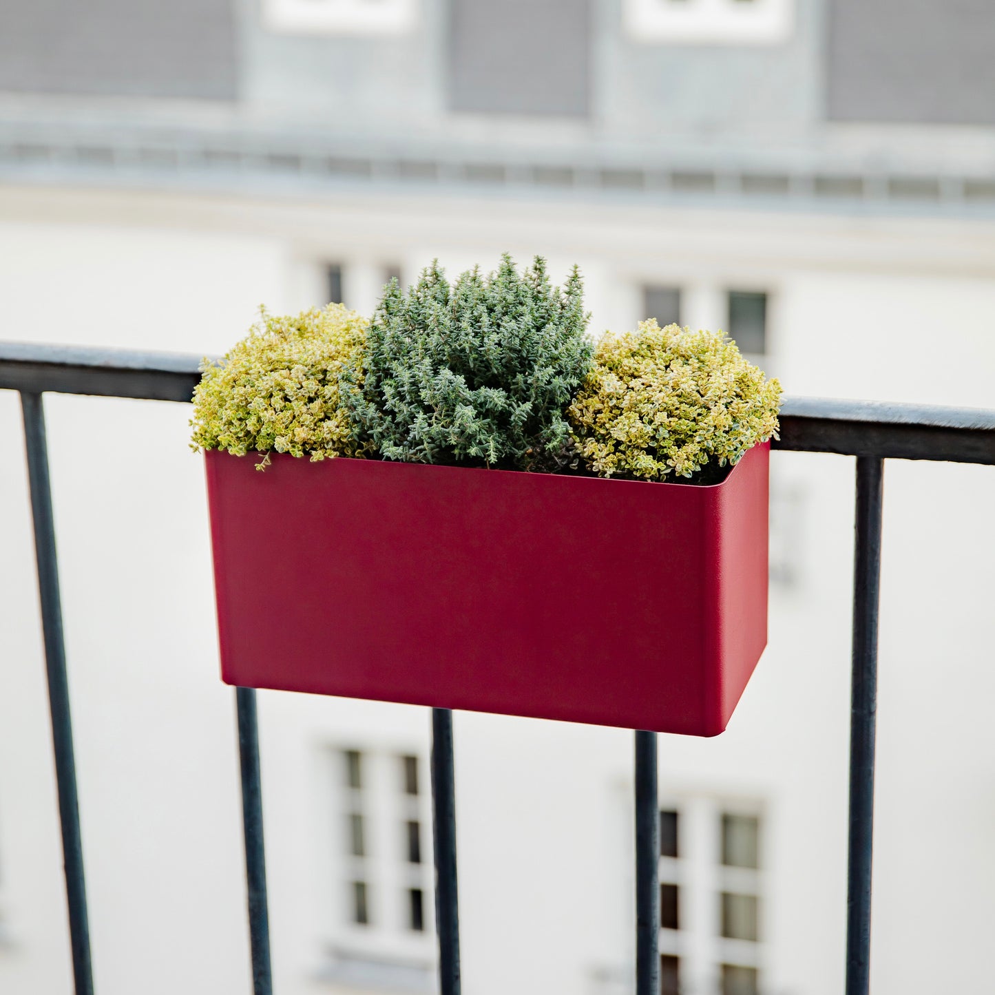 Balcony Planter - Balcony box