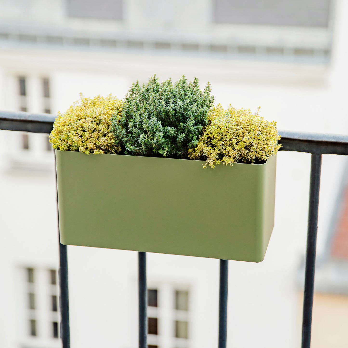 Balcony Planter - Balcony box