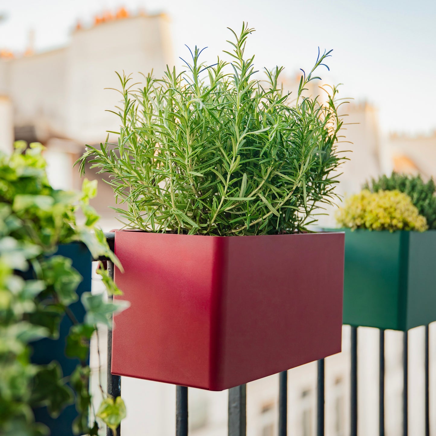 Balcony Planter - Balcony box