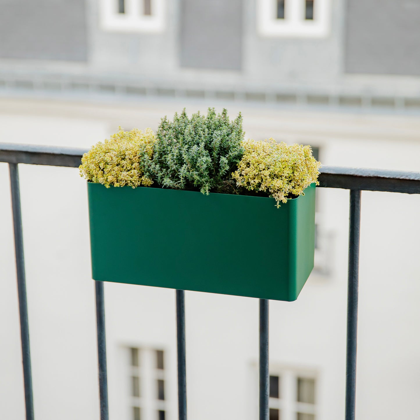 Balcony Planter - Balcony box