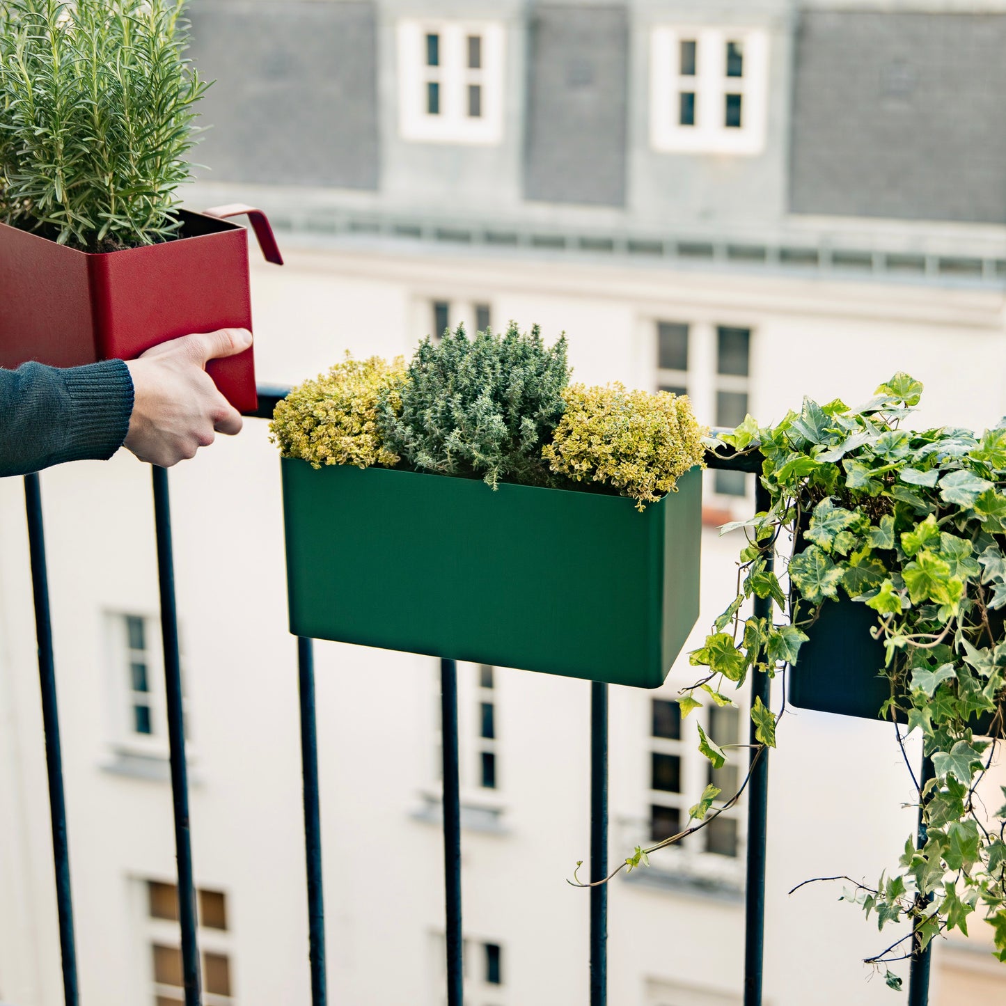 Balcony Planter - Balcony box